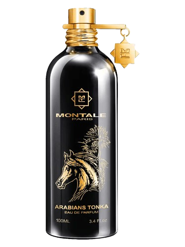 Montale Arabians Tonka